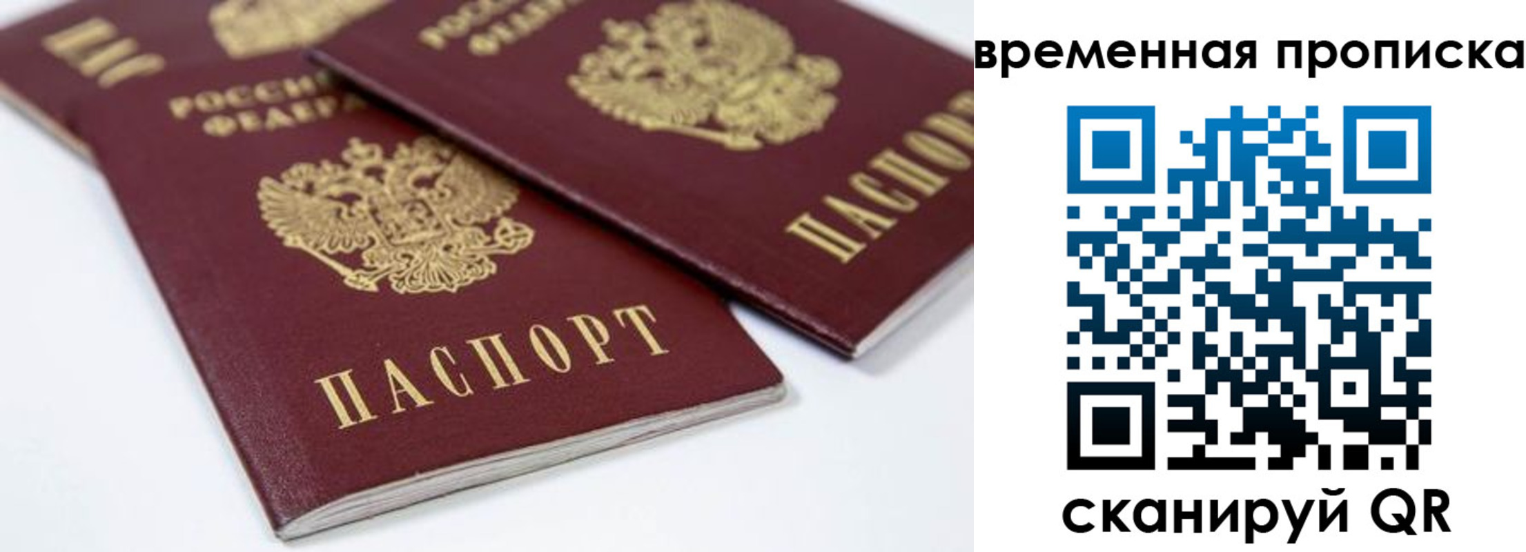 прописка для школы в Тавде